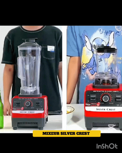 RG- Nouveau Mixeur Multifonction 2 en 1 - Grande capacité Puisssant et robuste !